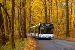 Schwerin, Mercedes-Benz CapaCity L # 194