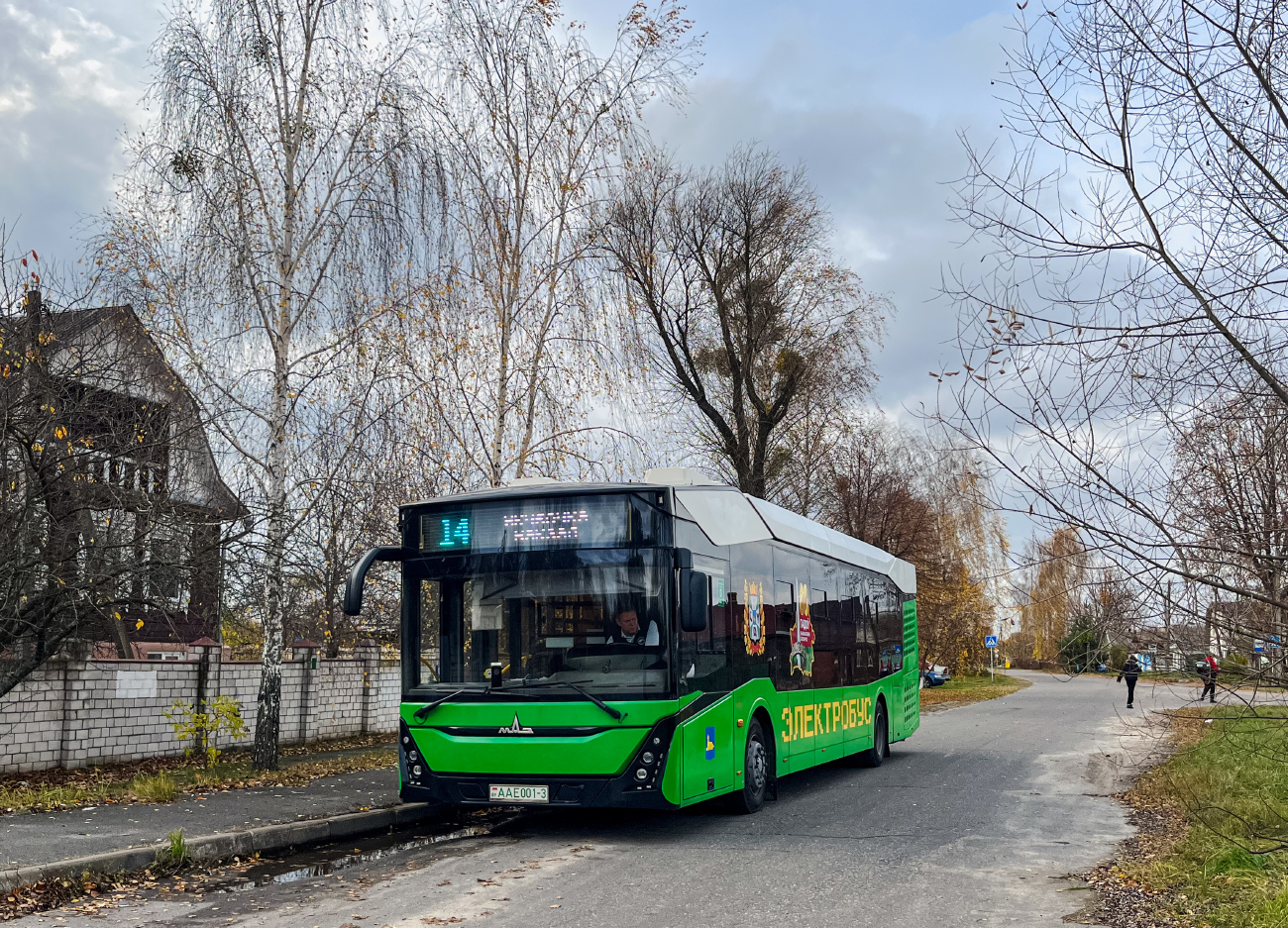 Gomel, MAZ-303.Е10 # 26451