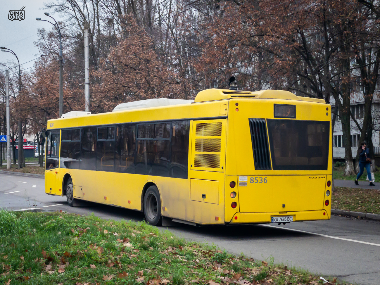 Kyiv, MAZ-203.015 # 8536