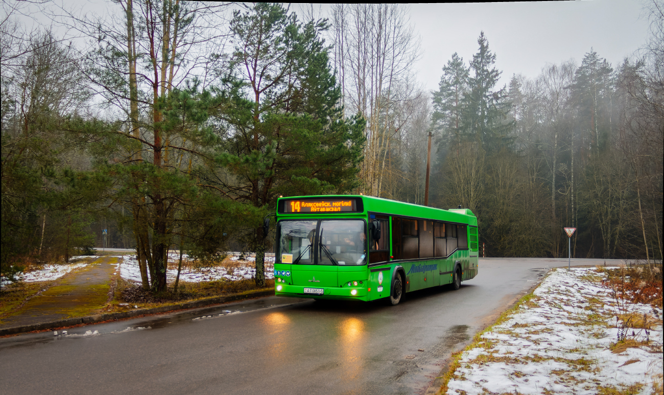 Borisov, MAZ-103.486 # 15910