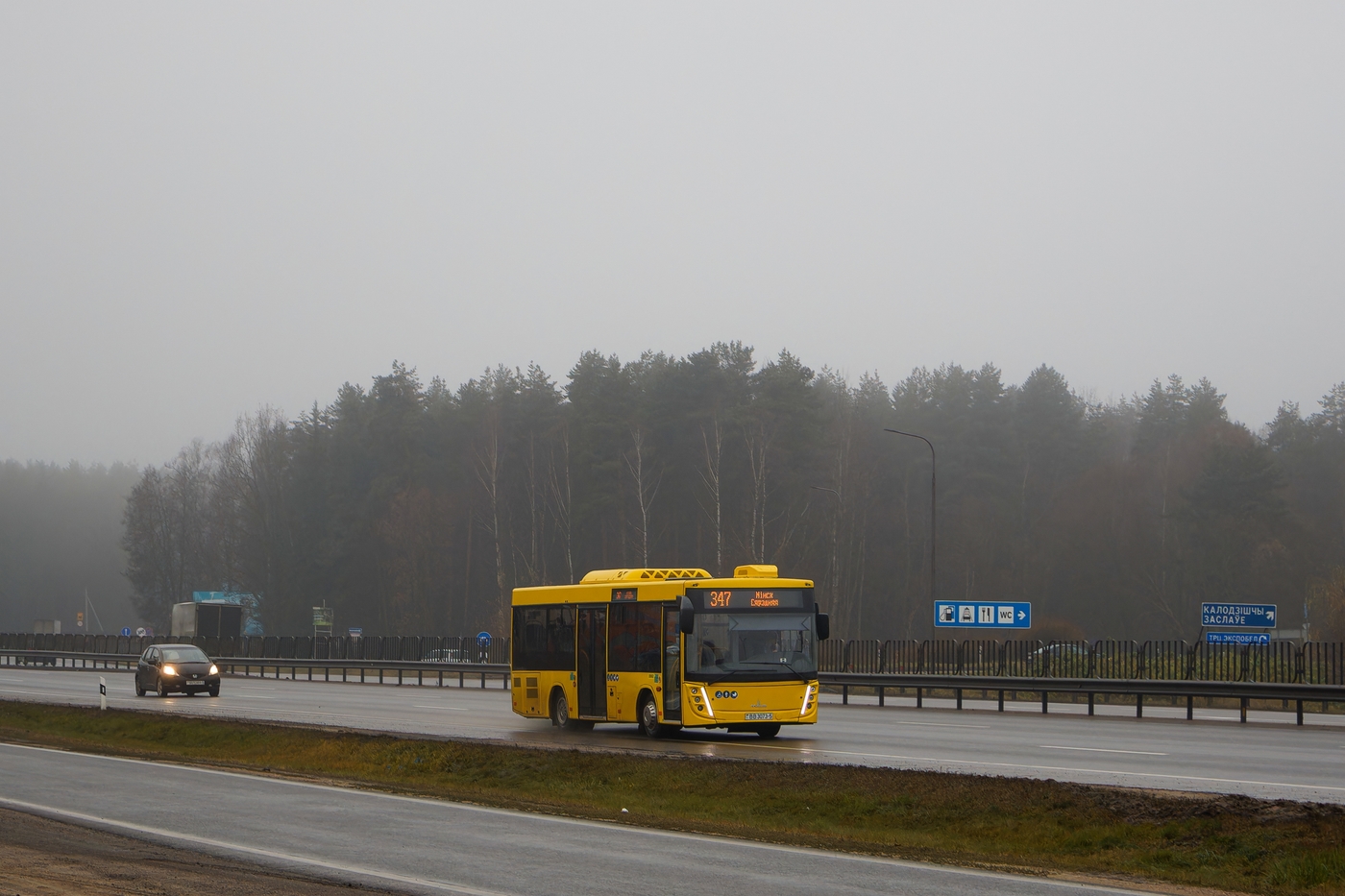 Minsk District, MAZ-206.047 # 20062