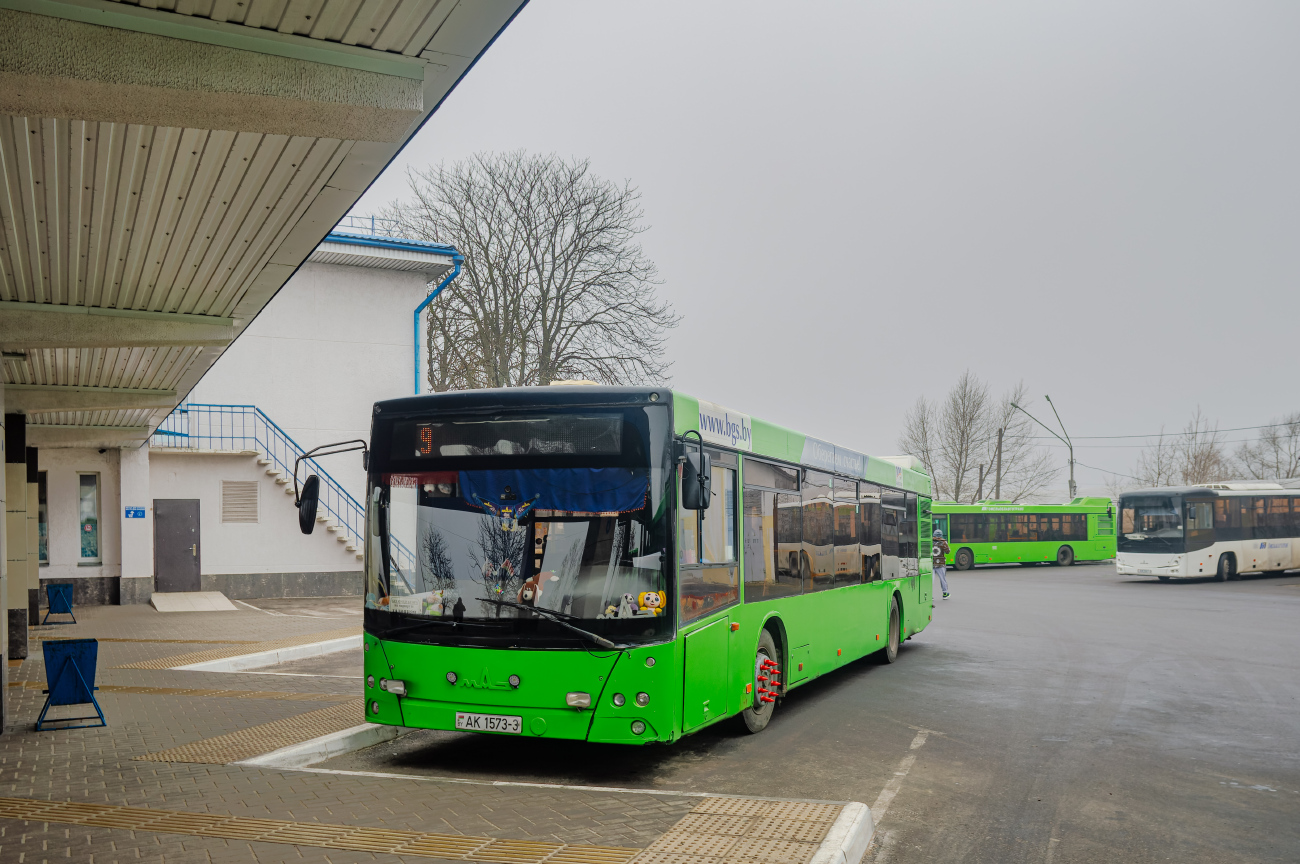 Mozyr, MAZ-203.065 # 014176