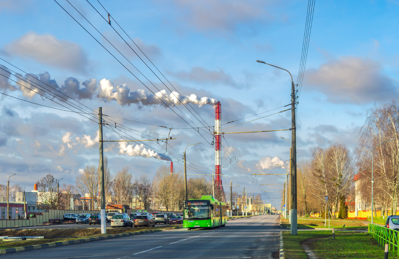 Gomel, MAZ-215.069 # 016098